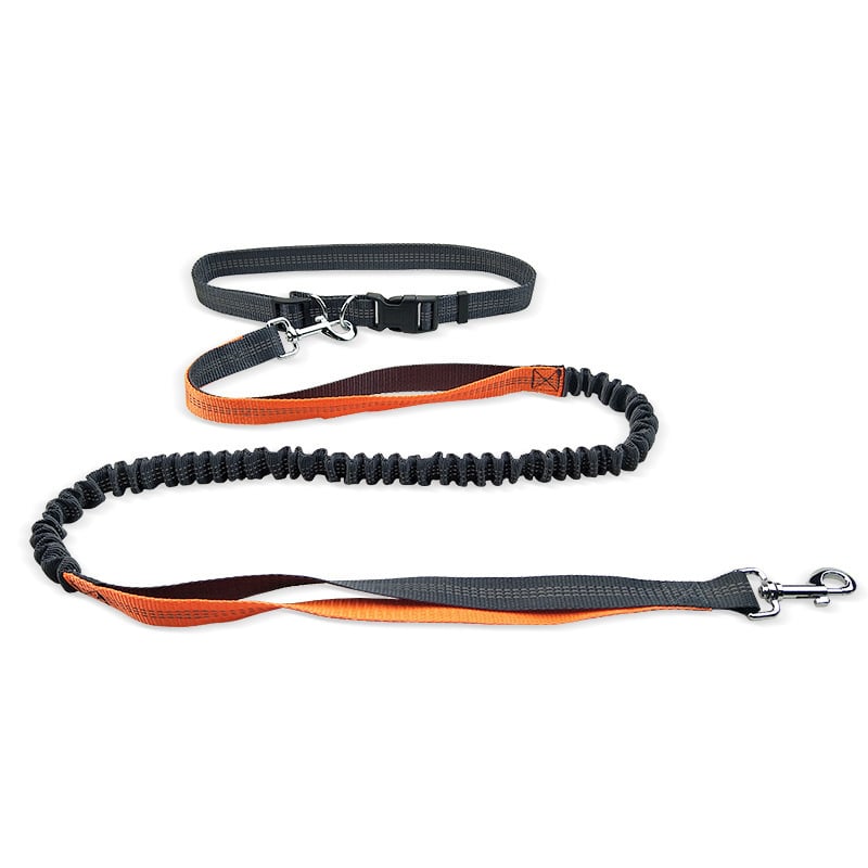 Hands-Free Dog Walking Belt with Leash
