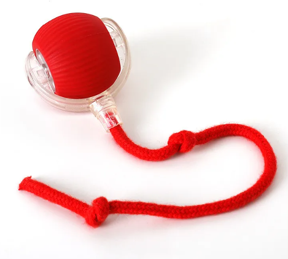 PurrPlay self-rolling cat toy ball