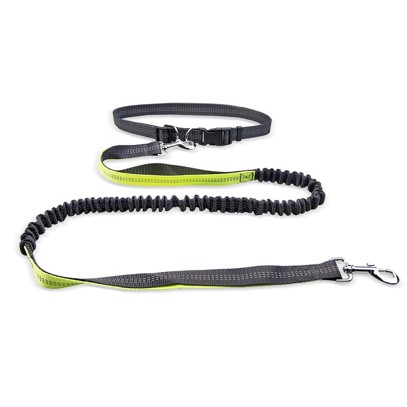 Hands-Free Dog Walking Belt with Leash
