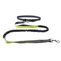 Hands-Free Dog Walking Belt with Leash