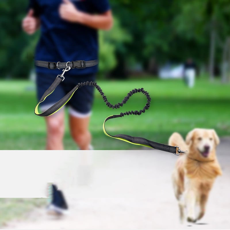 Hands-free dog walking belt with leash